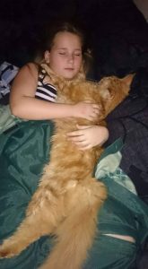 Kat_FlaskePosten_4