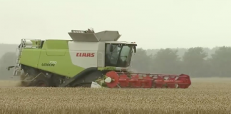 Landmænd er kede af den våde danske sommer