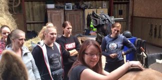 Center for Dyreterapi har vokseværk med uddannelser i Hirtshals