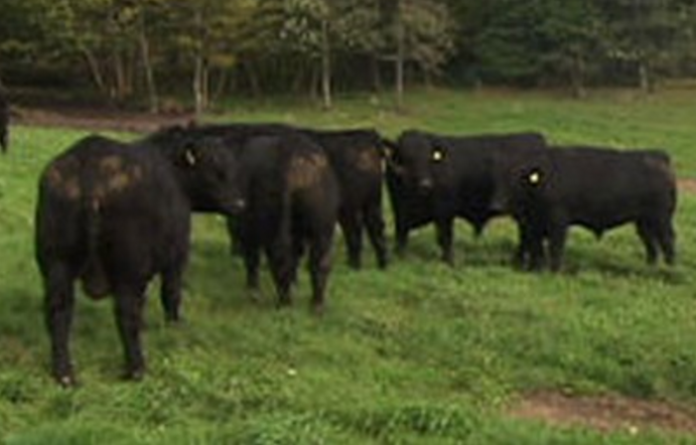 Markvandring_Tornby_FlaskePosten_1