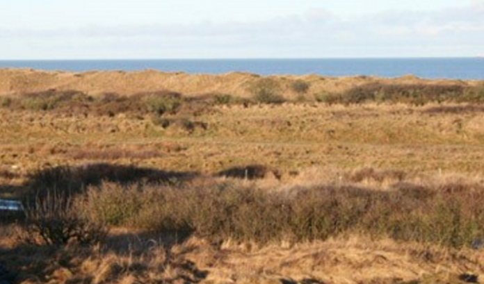 Tversted_Klitplantage_FlaskePosten_1