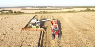 Høsten 2016 på Asdal Hovedgaard