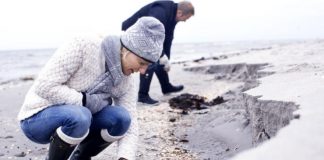 Efterårsferie i eller omkring Hirtshals