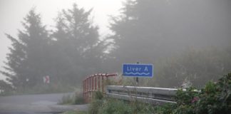 Øjeblikket: Røde Bro sydvest for Tornby