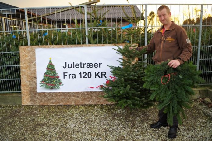 jan_soerensen_juletraeer_flaskeposten_1_740x490