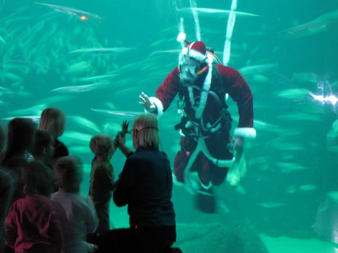 jul_nordsoeen_flaskeposten_1