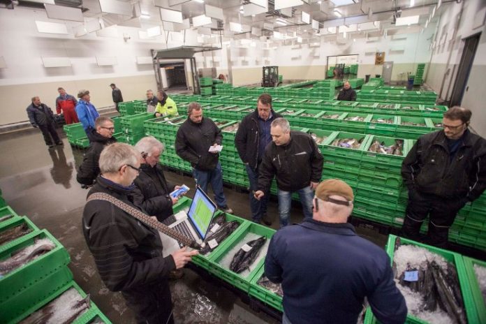 hirtshals_fiskeauktion_flaskeposten_1_740x493