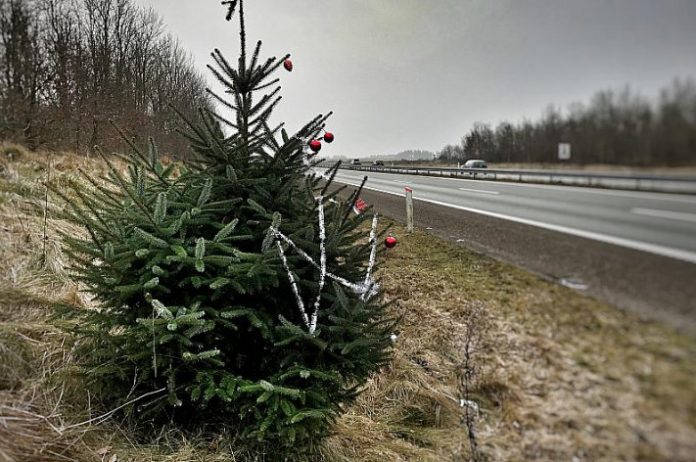 juletrae_motorvej_flaskeposten_1
