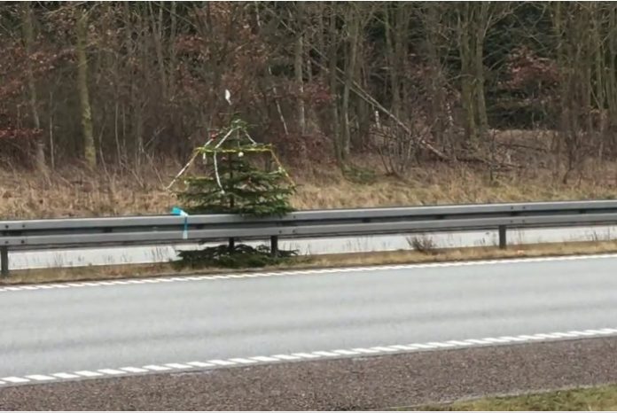 juletrae_motorvej_flaskeposten_1