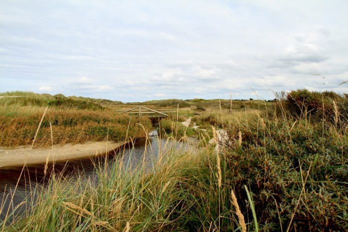 tversted_flaskeposten_1_739x493