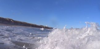 Hvad analyseres badevandet for i Hjørring Kommune?