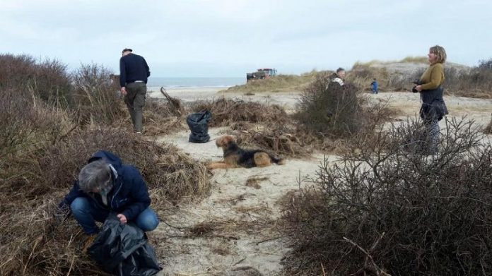 Strandrensning_Tversted_FlaskePosten_1_740x416