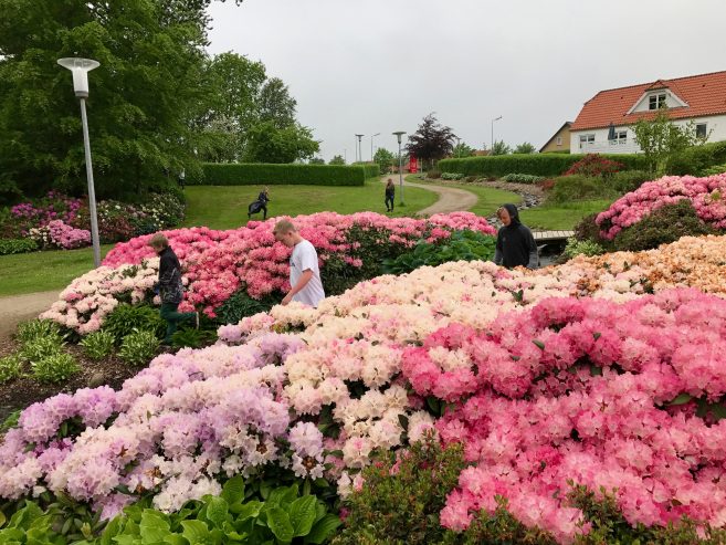 Bindslev_Affald_FlaskePosten_2