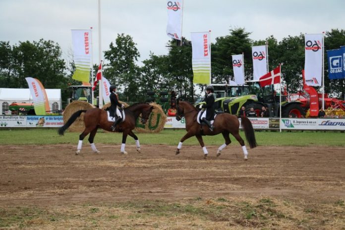 Heste_FlaskePosten_1_739x493