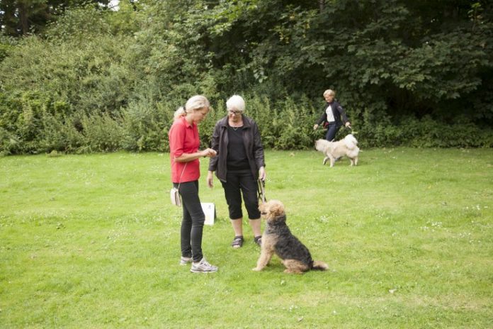 hunde_FlaskePosten_1_740x493