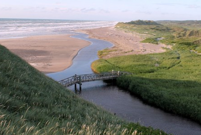 Kærsgaard_Strand_FlaskePosten_1