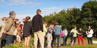 Markvandring tirsdag på Orkidegården