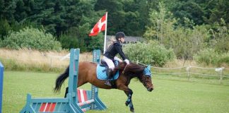 Sommerspringstævne hos Hirtshals Rideklub