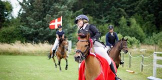 Staldmester søges til Landlyst