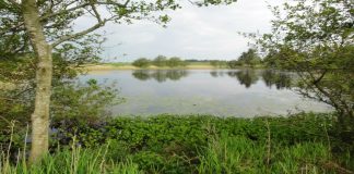 Fortællinger om livet i indlandsklitterne og ved Nørlev Sø