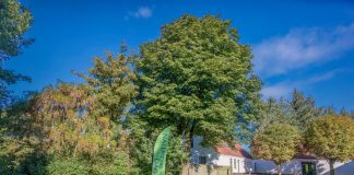 Naturmødet har tre tips til sommeraktiviteter