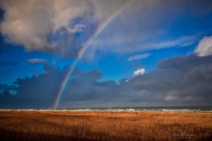 Kranen_Kysten_FlaskePosten_6