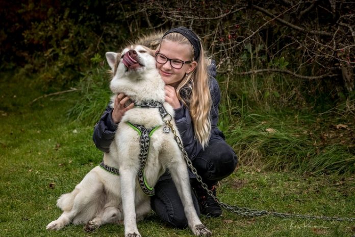 Slædehund_FlaskePosten_13