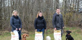 Hvalpetest bestået af 45 hunde hos DcH i Hjørring