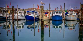 Varmebølge i behagelig udgave over det nordvestlige Vendsyssel.