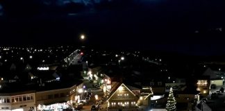 Black Friday og juletræstænding i Hirtshals