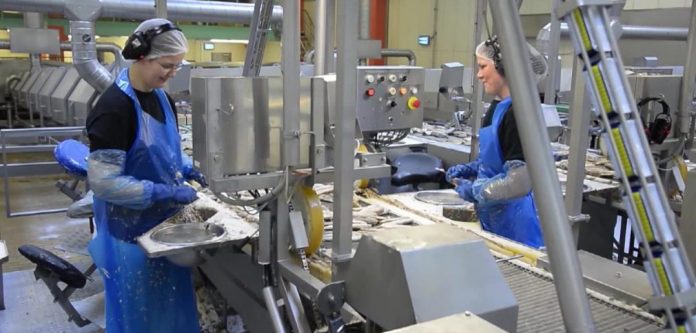 Saeby_Fiskeindustri_FlaskePosten_1