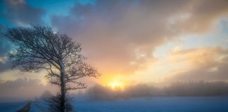 Den første julesne kan falde allerede fredag aften over Vendsyssel
