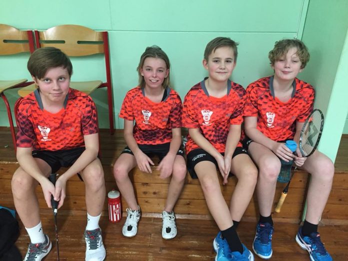 BTI_Badminton_FlaskePosten_1