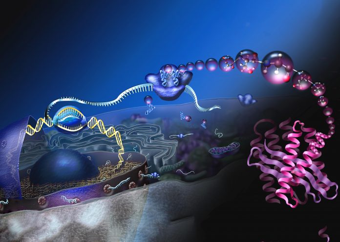 Biomolekyler_Lønstrup_Cafe_FlaskePosten_1
