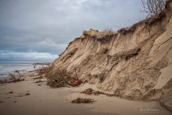 Klit_Strand_Kyst_FlaskePosten_1