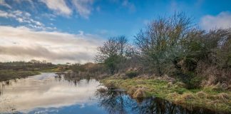 Februar har sat våd rekord