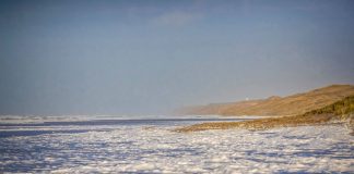 Poul Jansen: Den dybe blæst