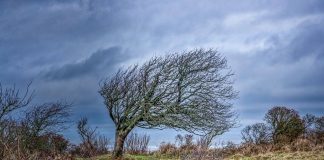 Weekend med kuling og regn i det nordvestlige Vendsyssel