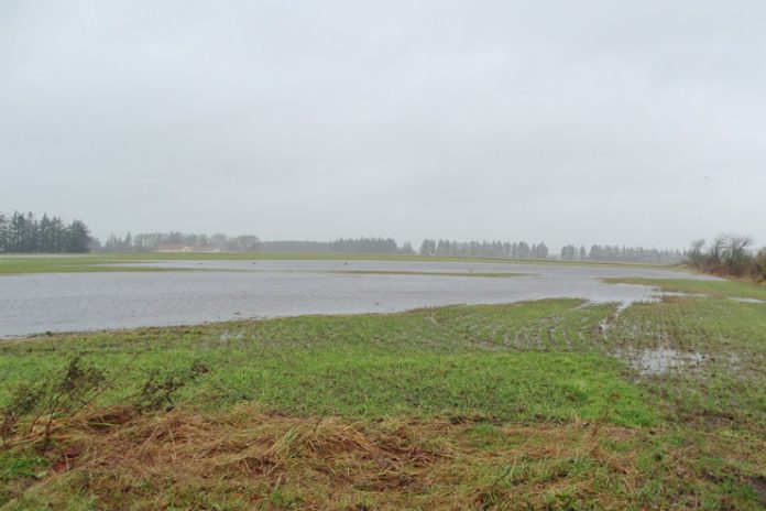 vandsindal_flaskeposten3_740x493