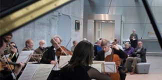 Aalborg Symfoniorkester Pro Musica spiller på Vendsyssel Teater