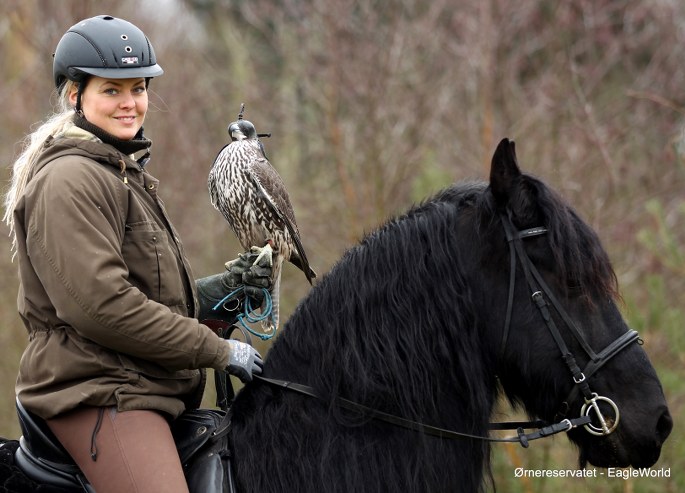 Falkoner_Ørnereservatet_FlaskePosten_1_685x493