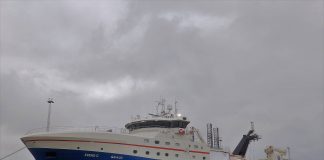 Sværvægteren Svend C
