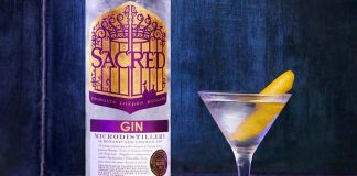 EUC Nord Gastro holder første netværksmøde om Gin