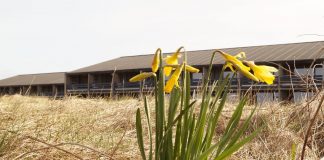 Sol og lunt påskevejr fra søndag