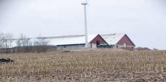 Nordjysk landbrug skal sikres arbejdskraft