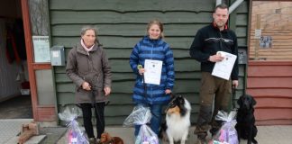 Test for hvalpe og unghunde hos DcH i Hjørring