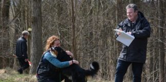 Landsdækkende konkurrence med flot hundearbejde hos DCH