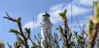 Gave til Hirtshals Fyr