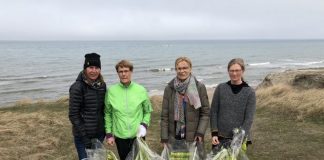 Masser af affald blev søndag indsamlet af Havstrygerne