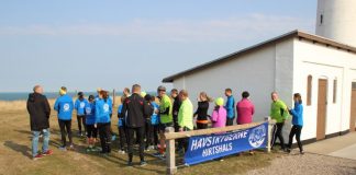 Havstrygere i flok ved Fyrløbet